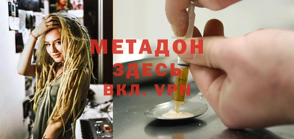 стаф Алзамай