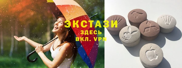 стаф Алзамай