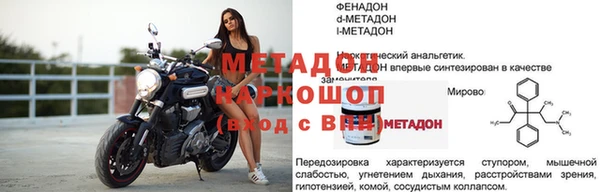 стаф Алзамай