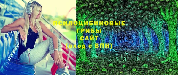 тгк Протвино